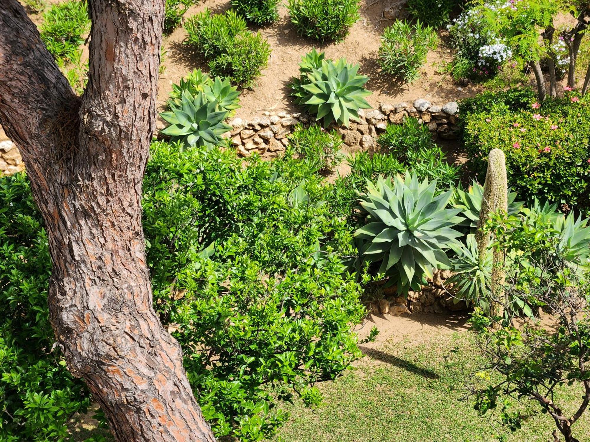 Elena Flat A Little Paradise Right On The Beach Sitio de Calahonda Exteriér fotografie