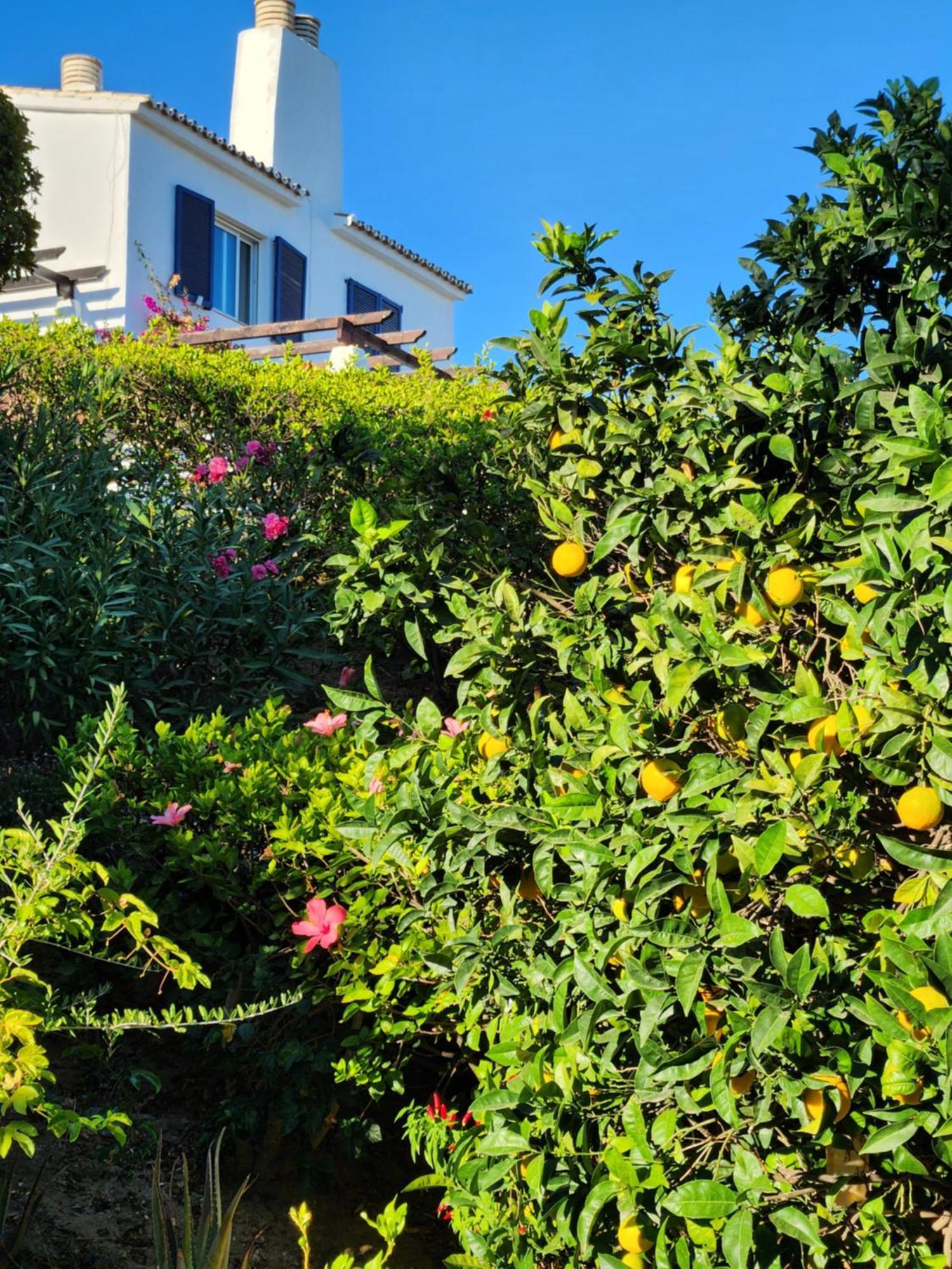 Elena Flat A Little Paradise Right On The Beach Sitio de Calahonda Exteriér fotografie